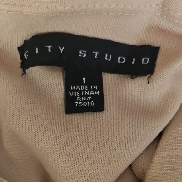 Elegant Lace Dress with Sequin Details - Picture 9 of 9